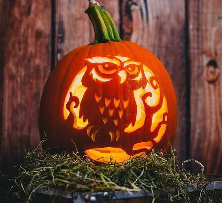 Halloween pumpkin ideas