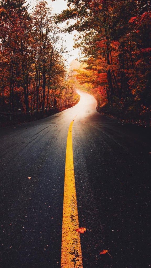 Fall Phone Wallpaper
