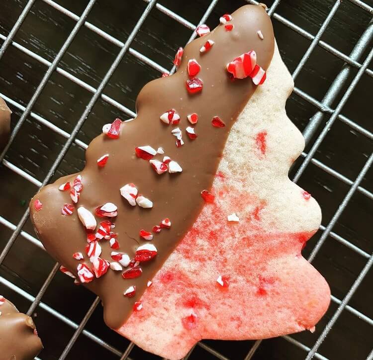 Cookies are the most important part of Christmas, so we have plenty of reasons to use the holiday time to prepare a batch of cute Christmas cookies. #Christmas