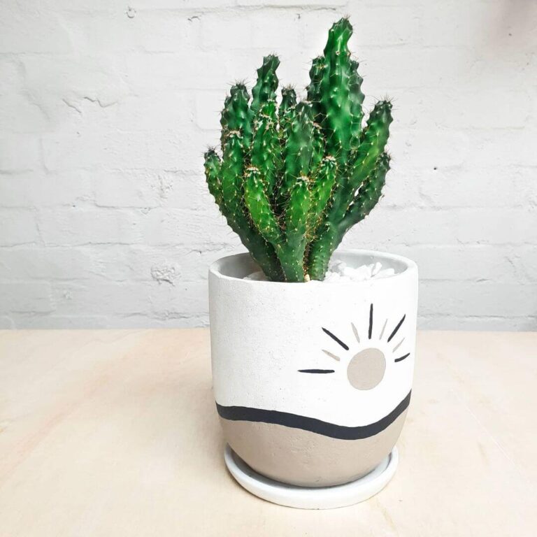 23 Easy And Beautifully Painted Pot Ideas