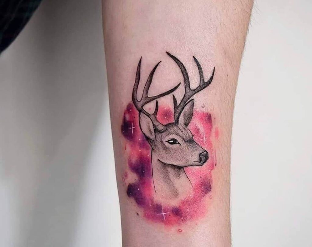 deer