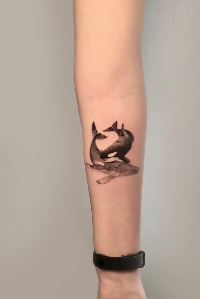 Whale tattoo