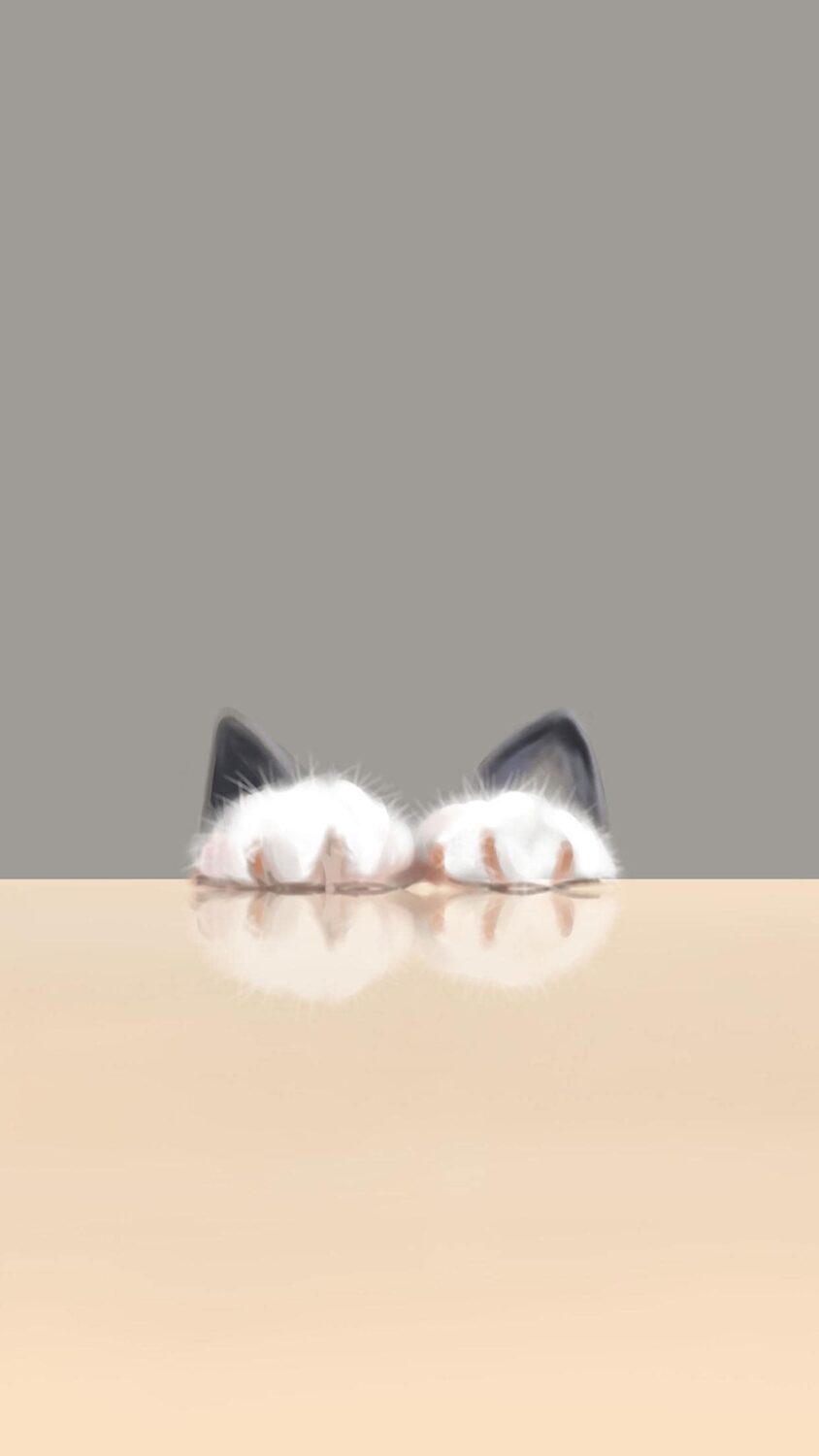 Shy cat