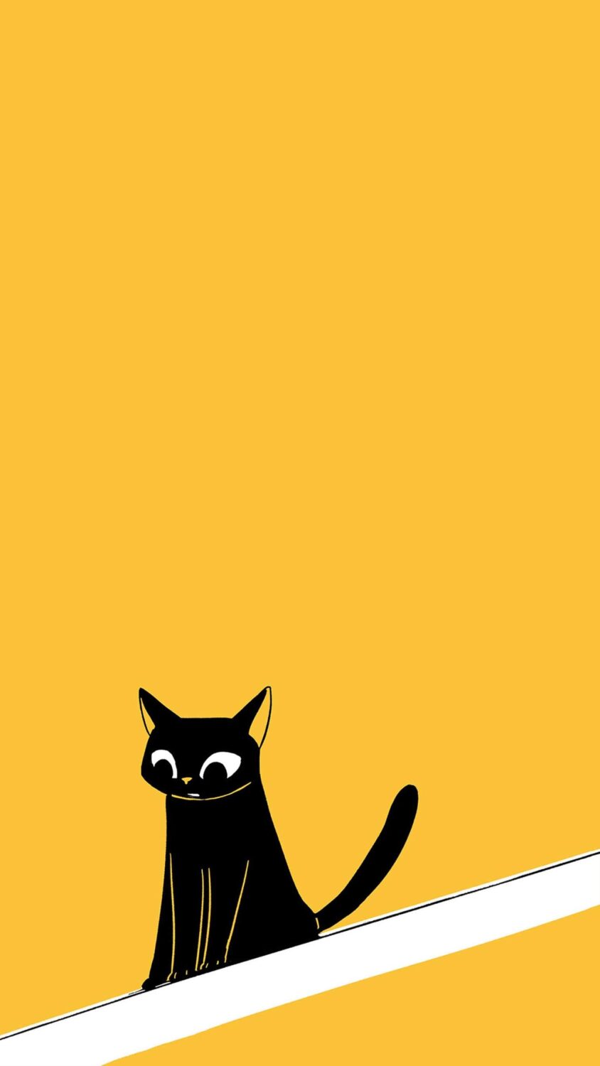 Playful black cat