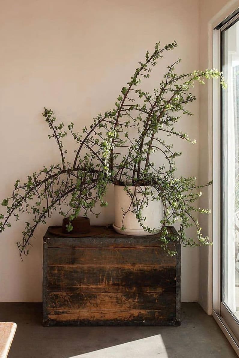 Striking rustic corner decoration