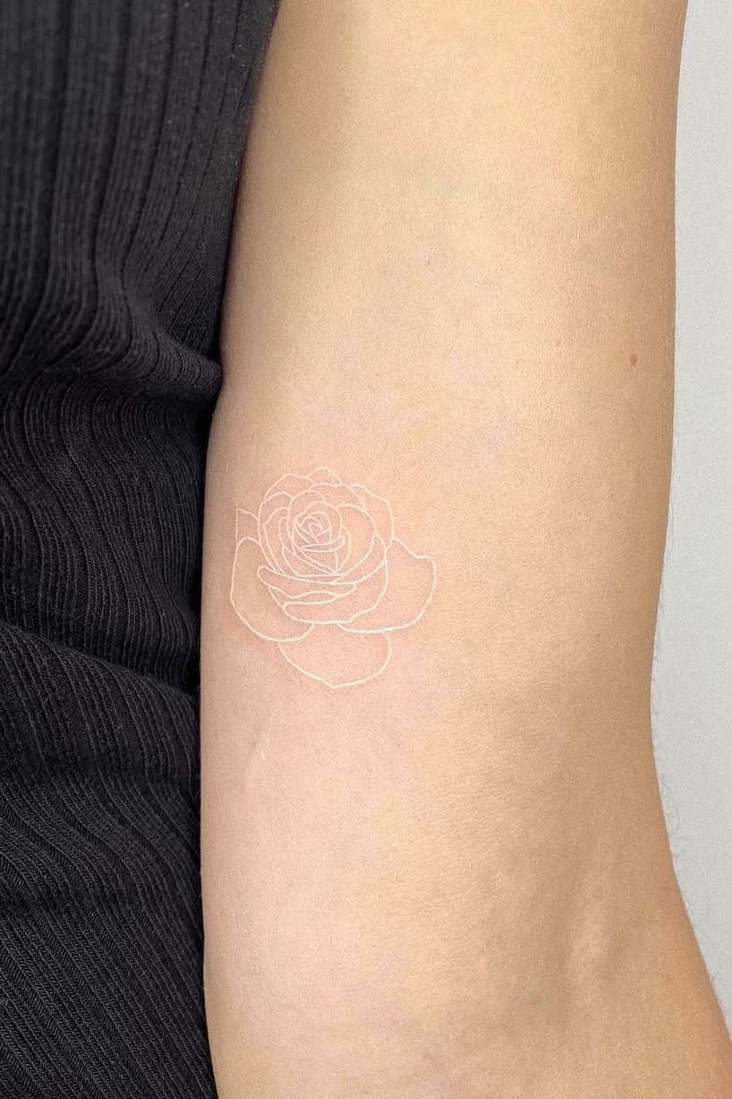 White rose tattoo