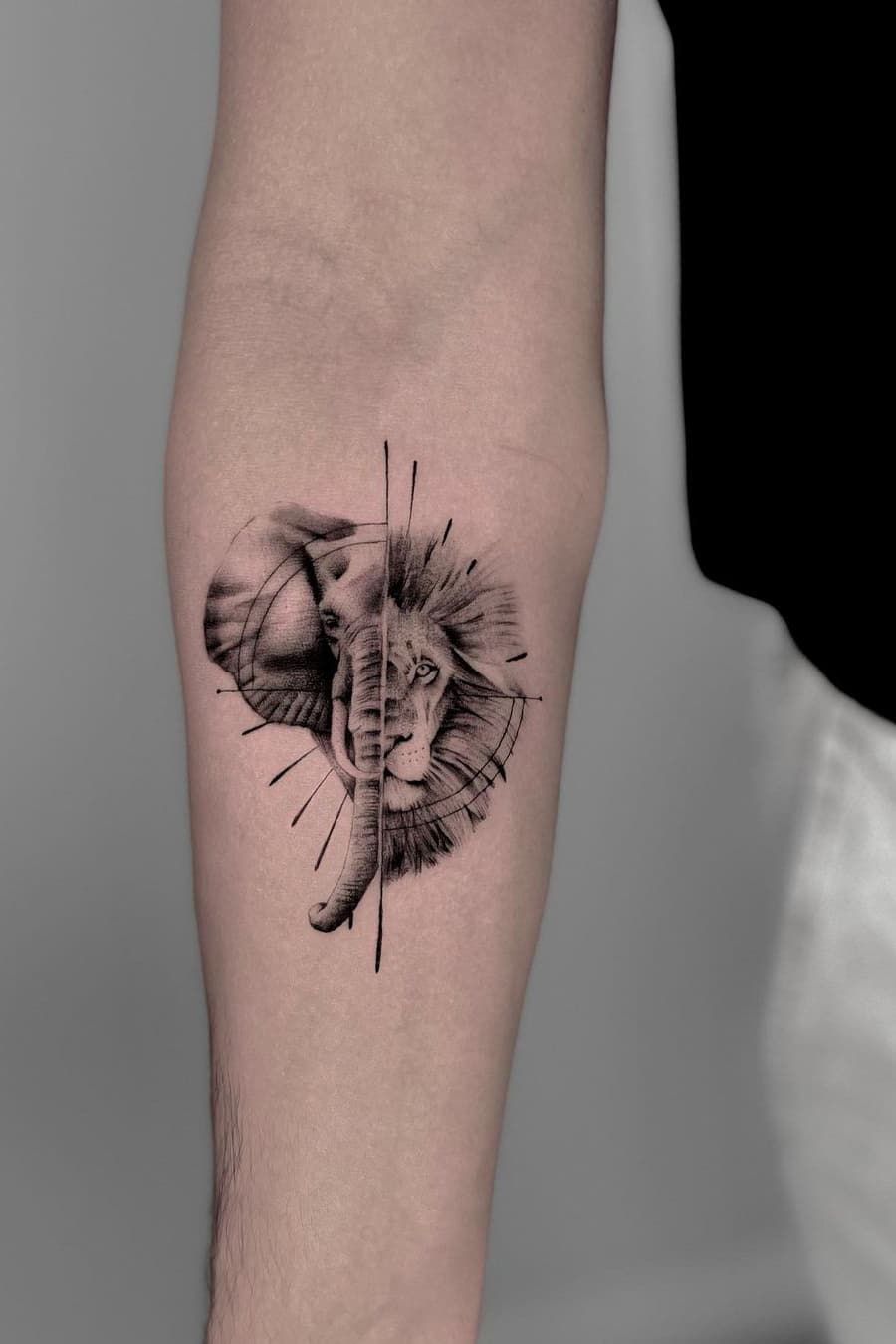 Elephant and lion tattoo