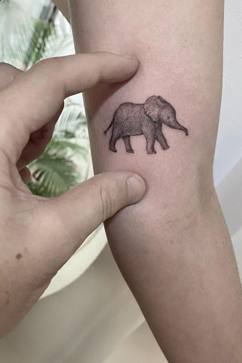 Tiny Elephant Tattoo