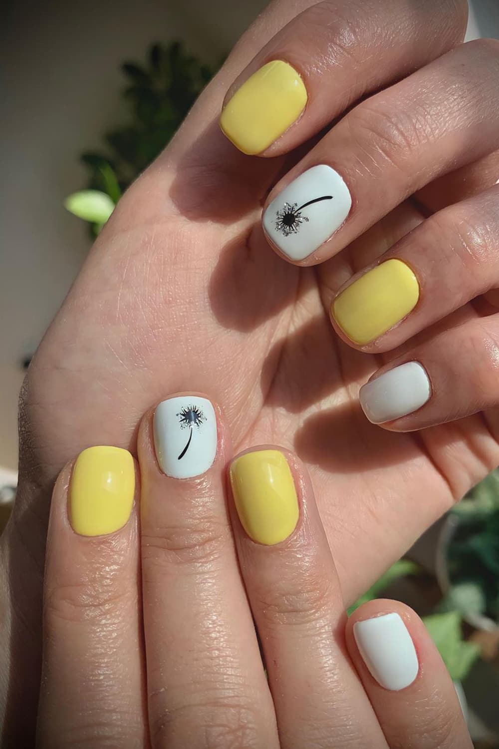 Plant yellow nails