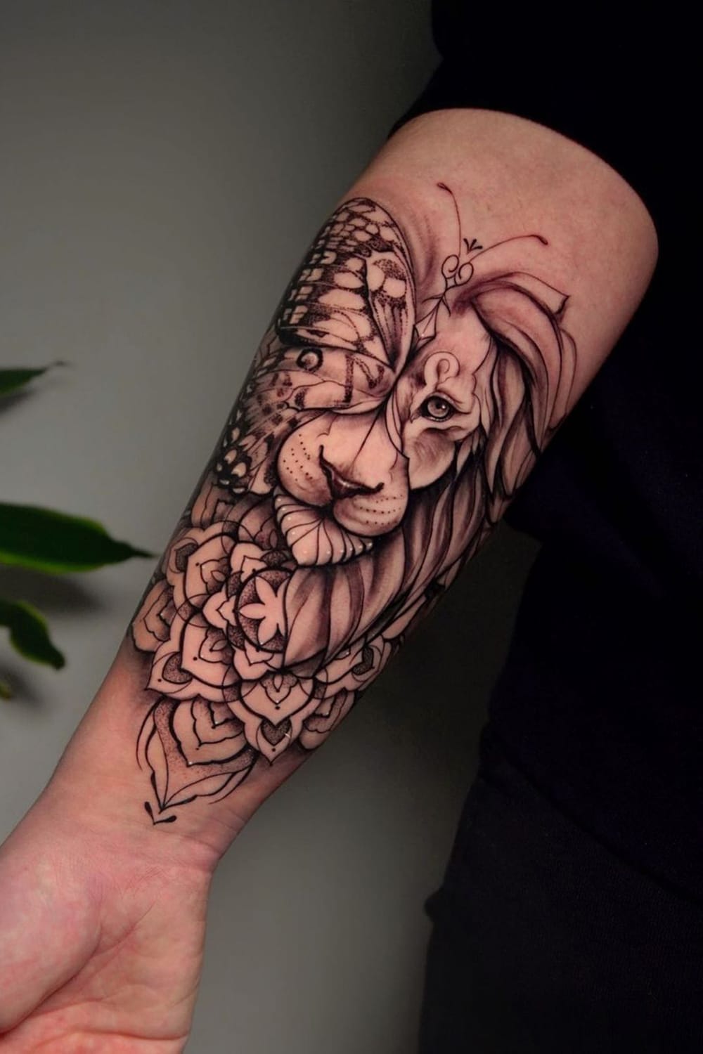 Butterfly Lion Tattoo