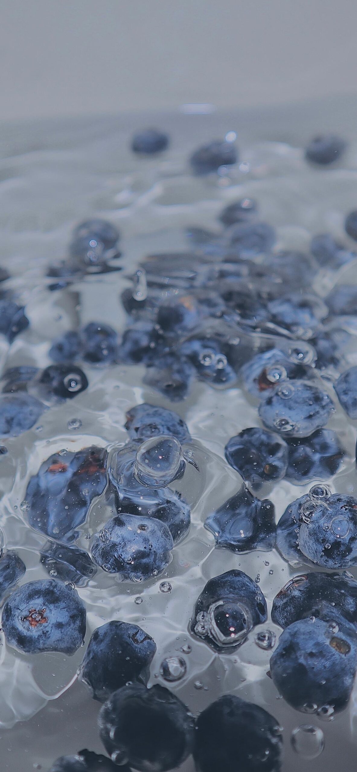 Blueberries in ice water