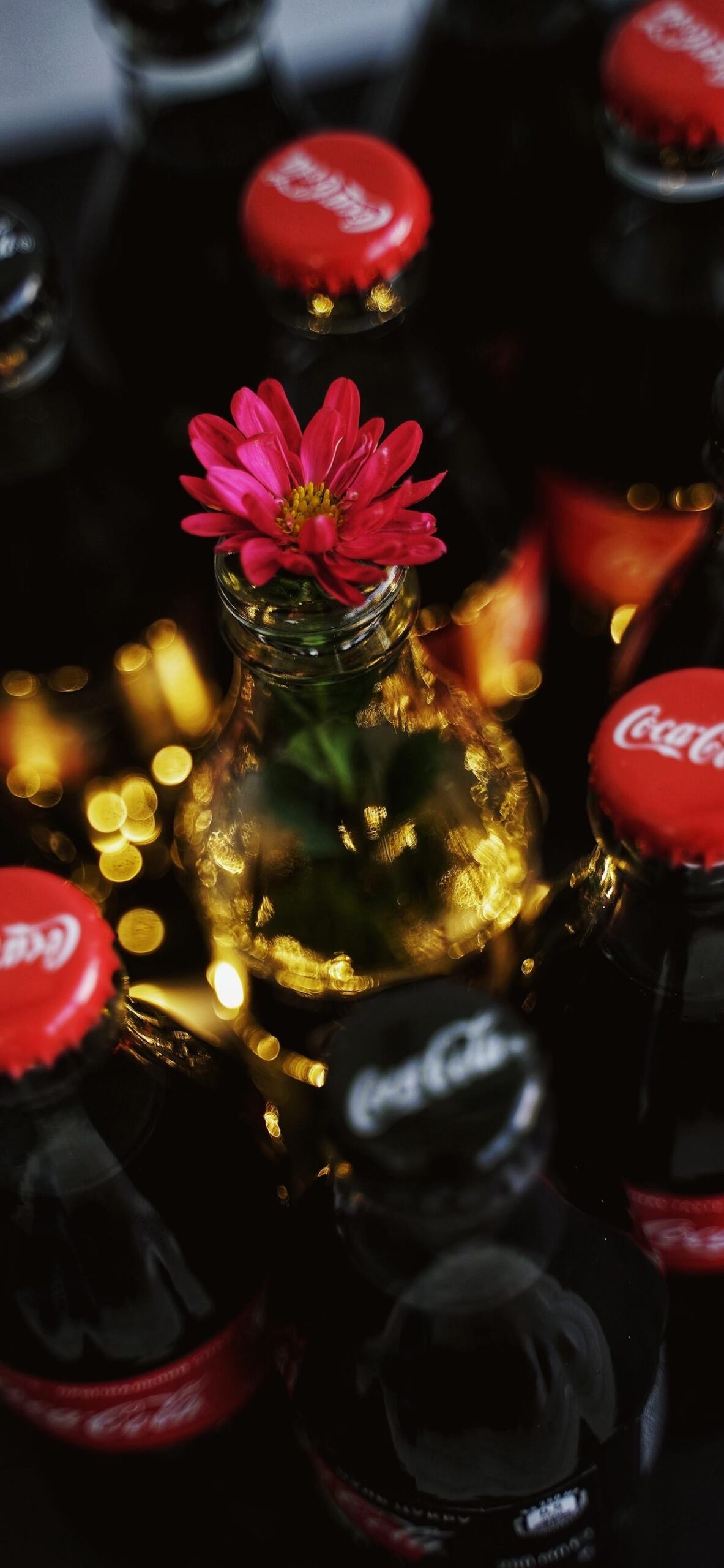 Red Flower and Cola