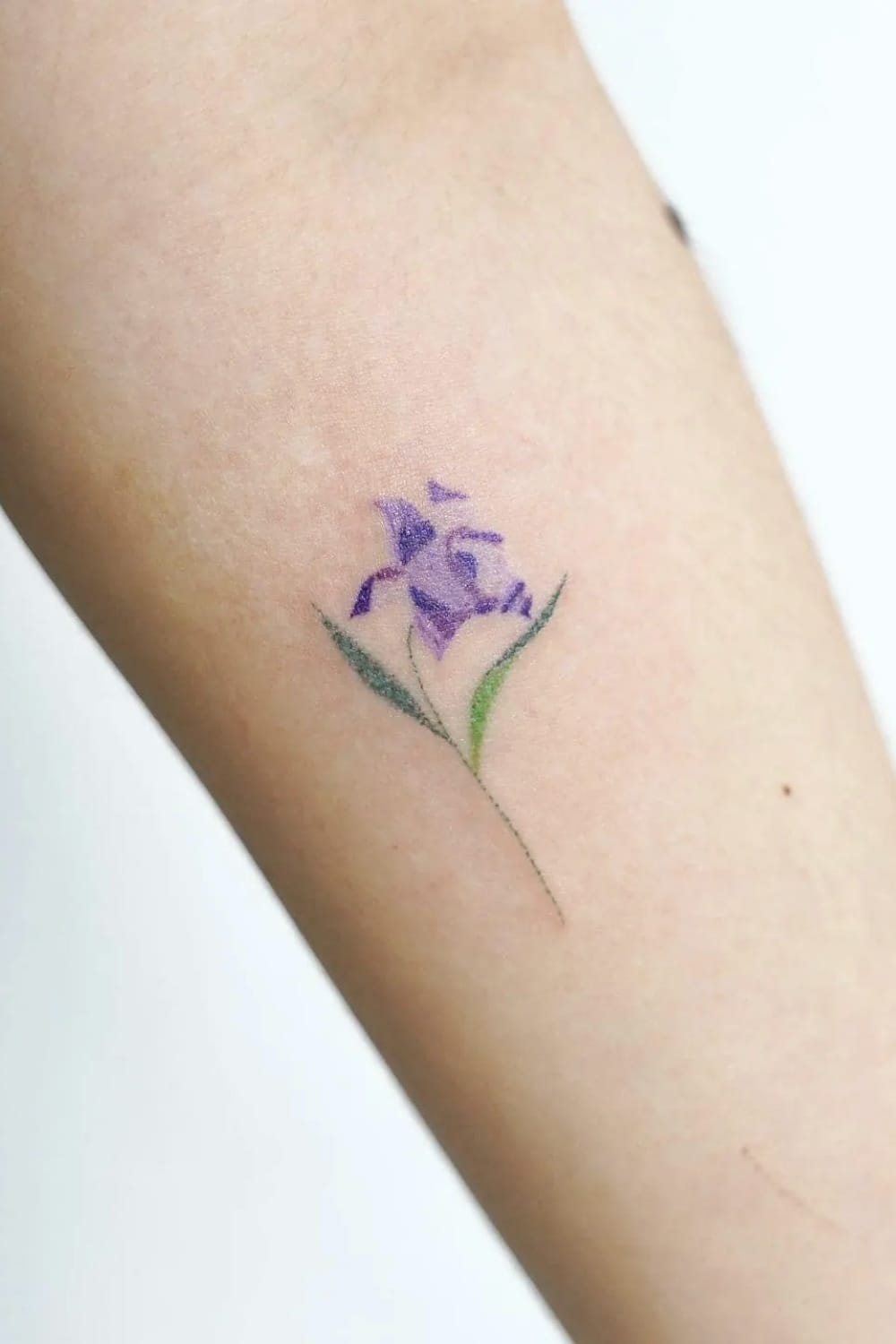 Small Violet tattoo