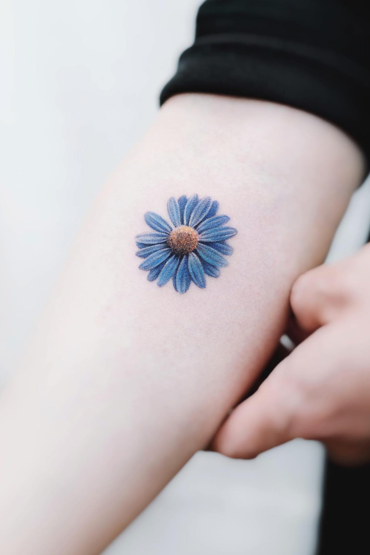 blue daisy tattoo