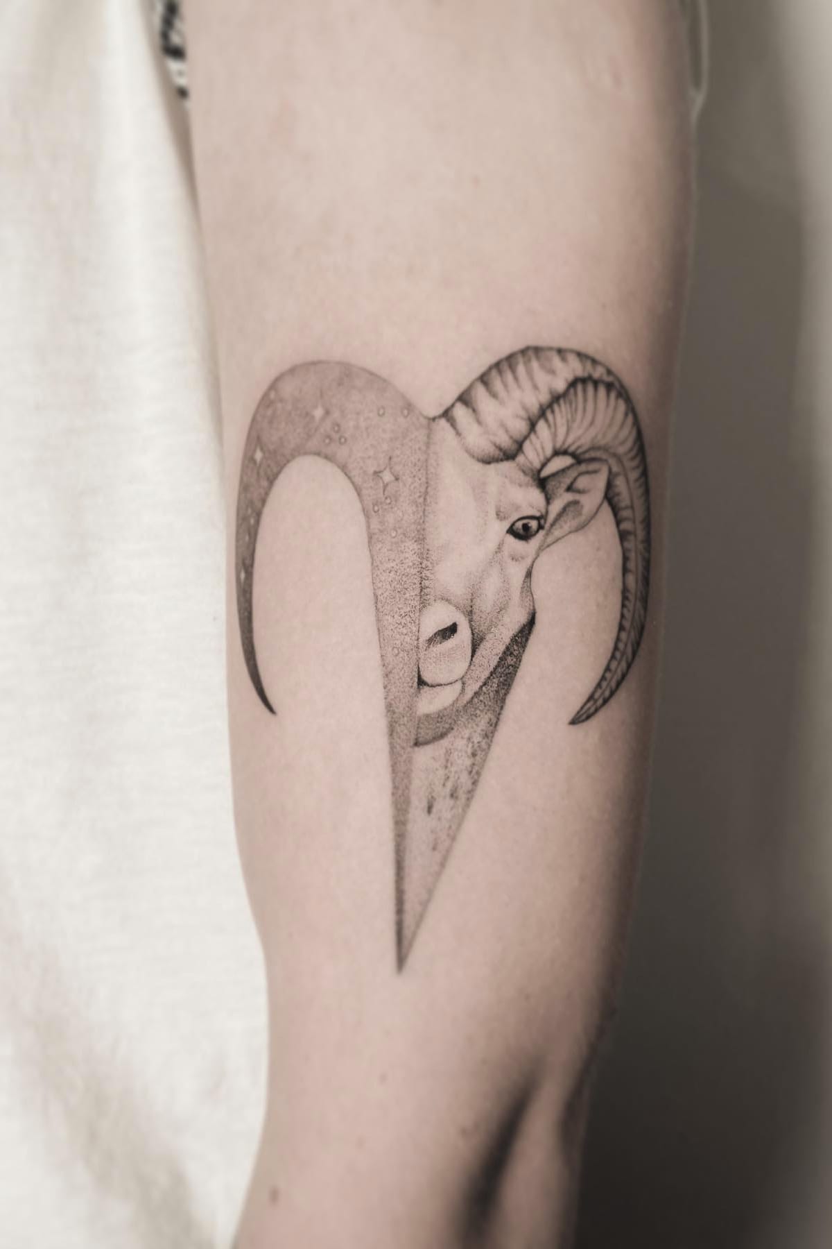 Ram with Star Tattoo