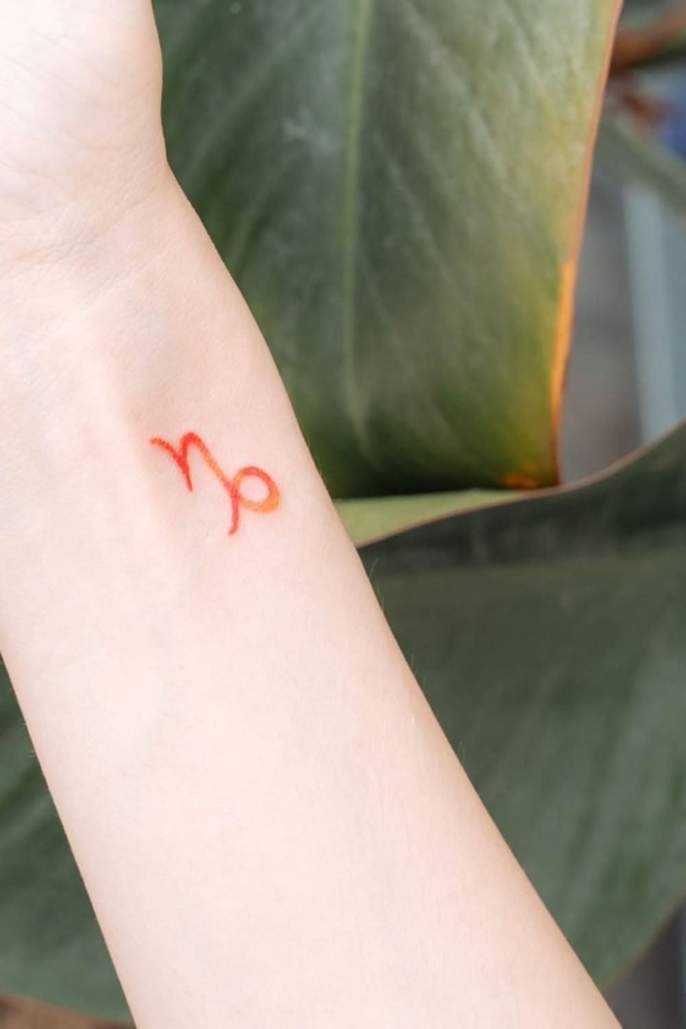 Capricorn Tattoo