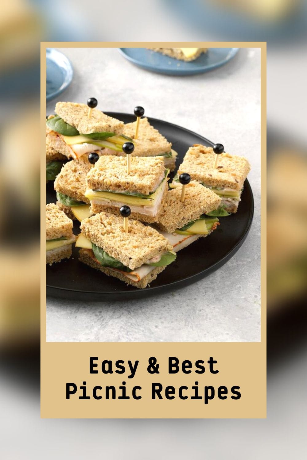 Easy and Best Picnic Recipes