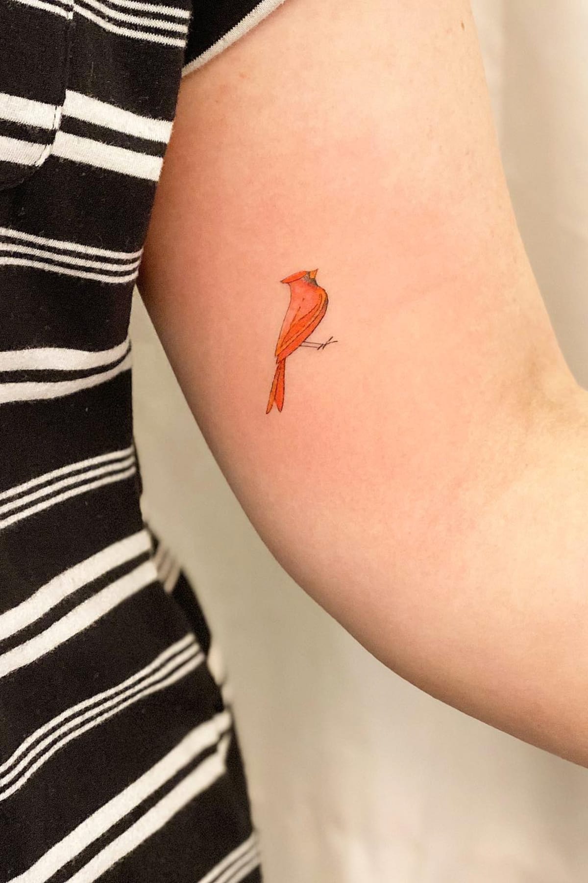 Orange small cardinal tattoo