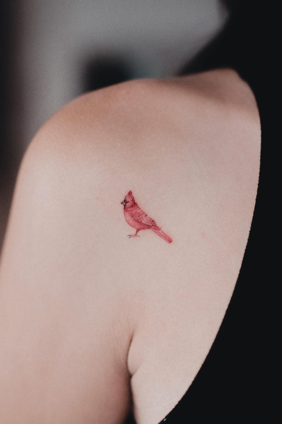 Simple small cardinal tattoo