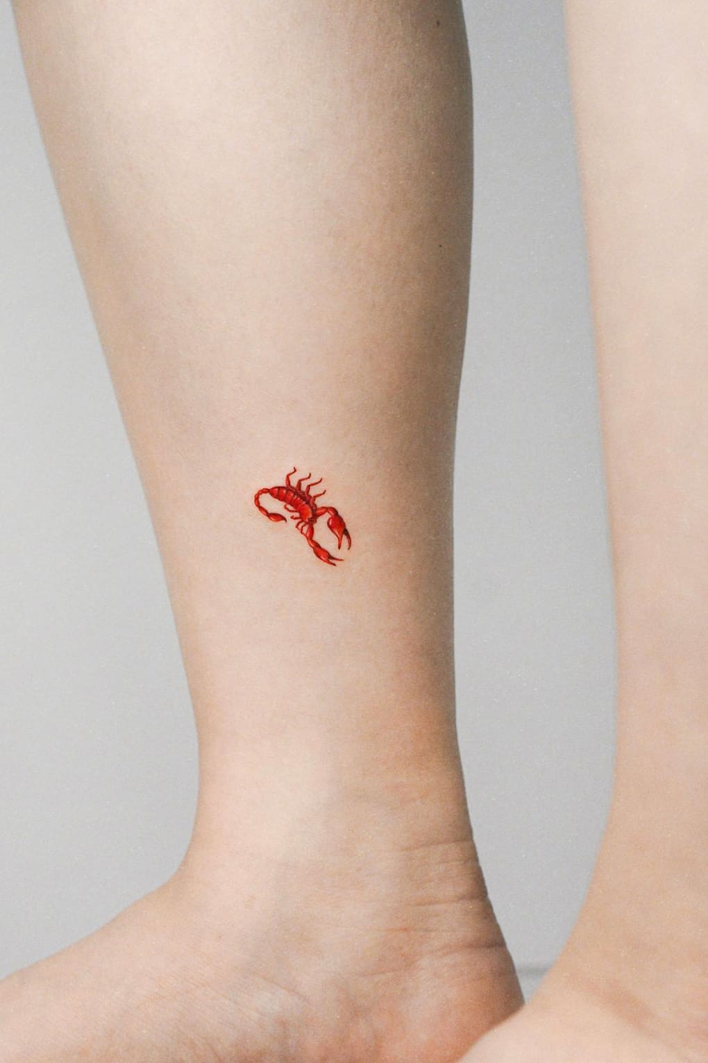 Small Scorpio Tattoo