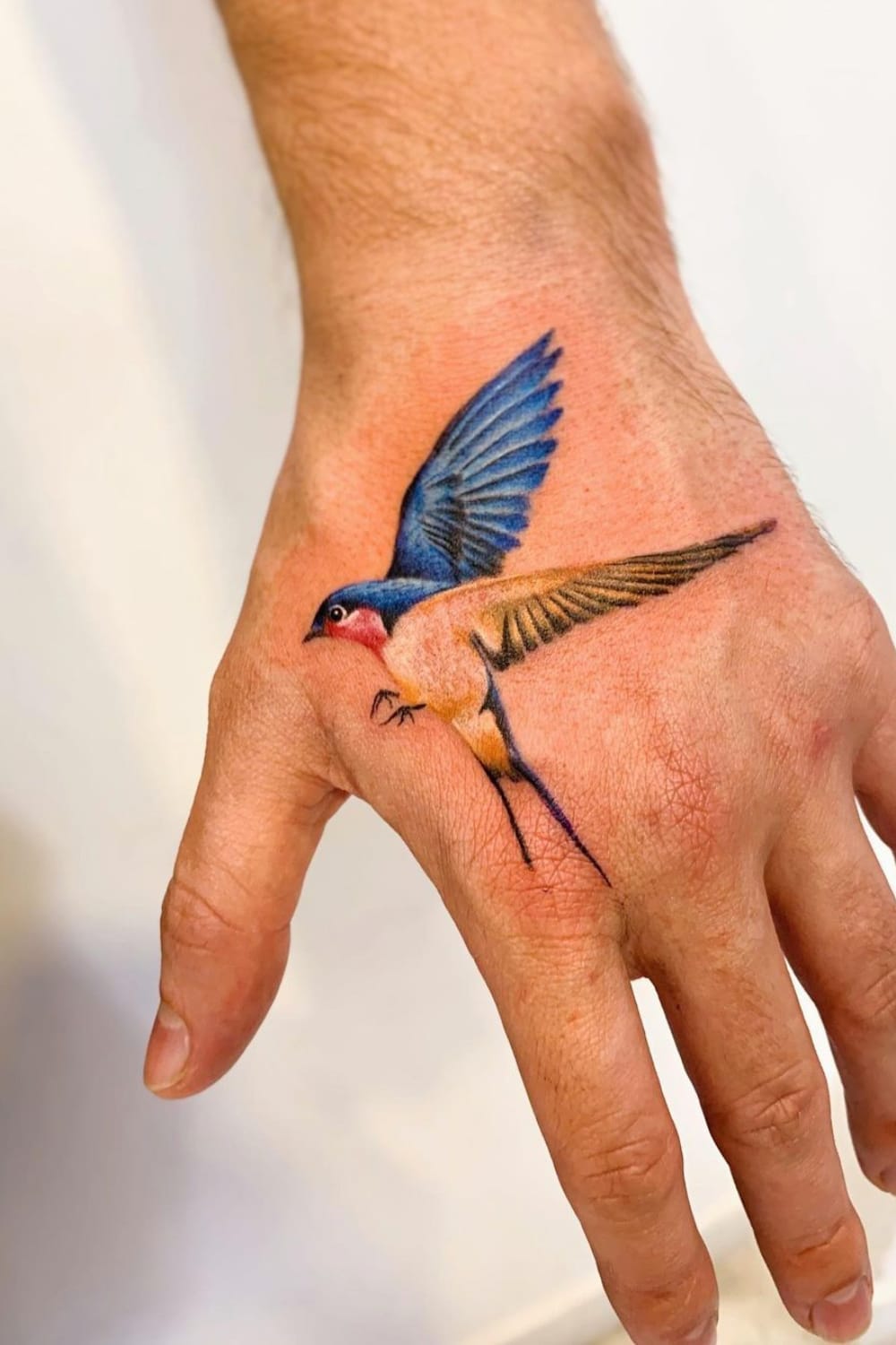 Colorful Swallow Tattoo
