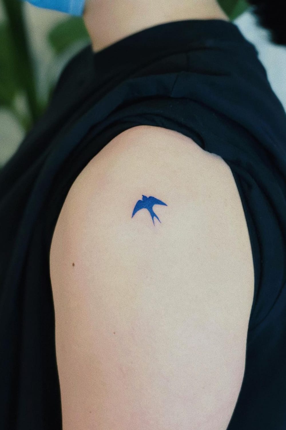 Mini Swallow Tattoo