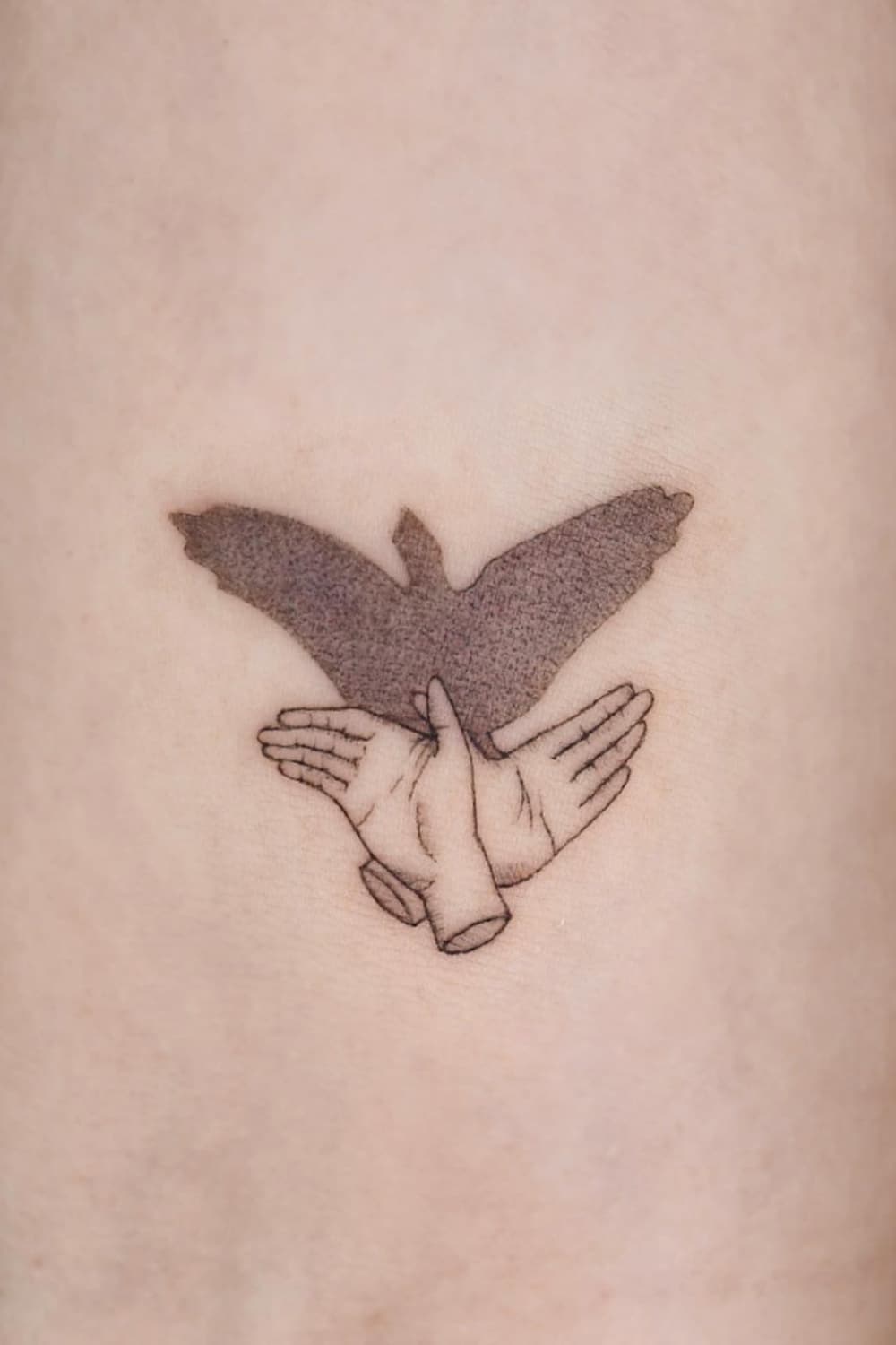 Pigeon Tattoo