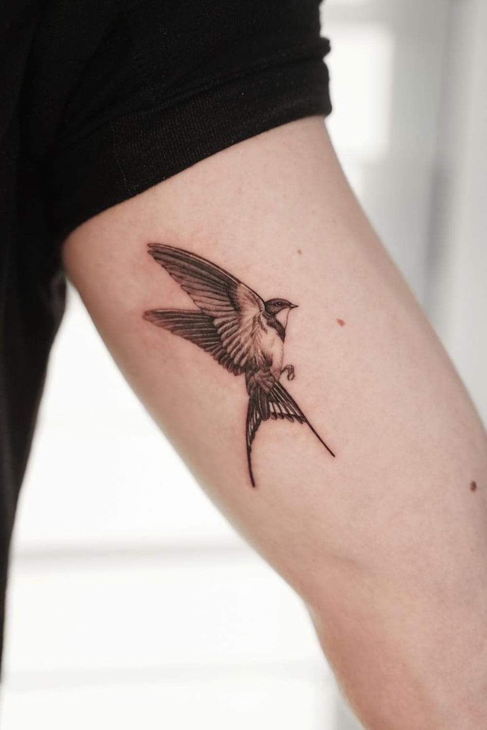 Realistic Swallow Tattoo