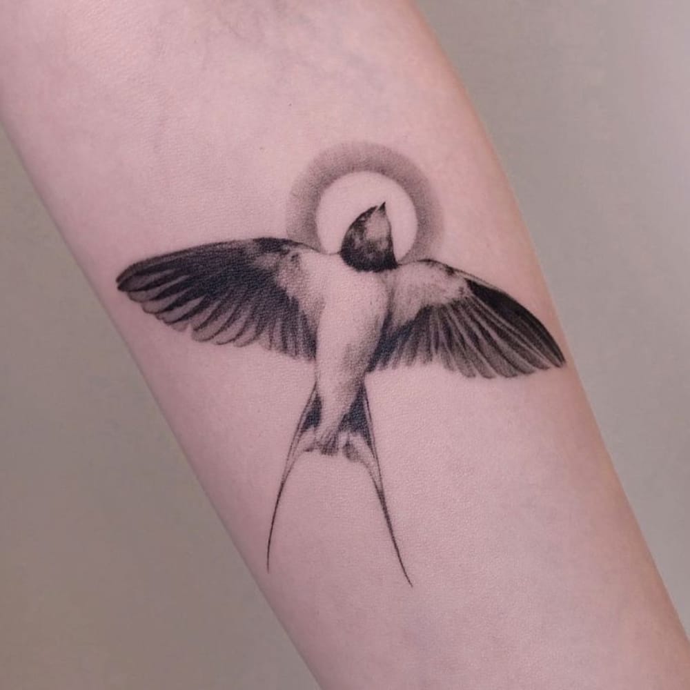 Swallow Tattoo With Sun