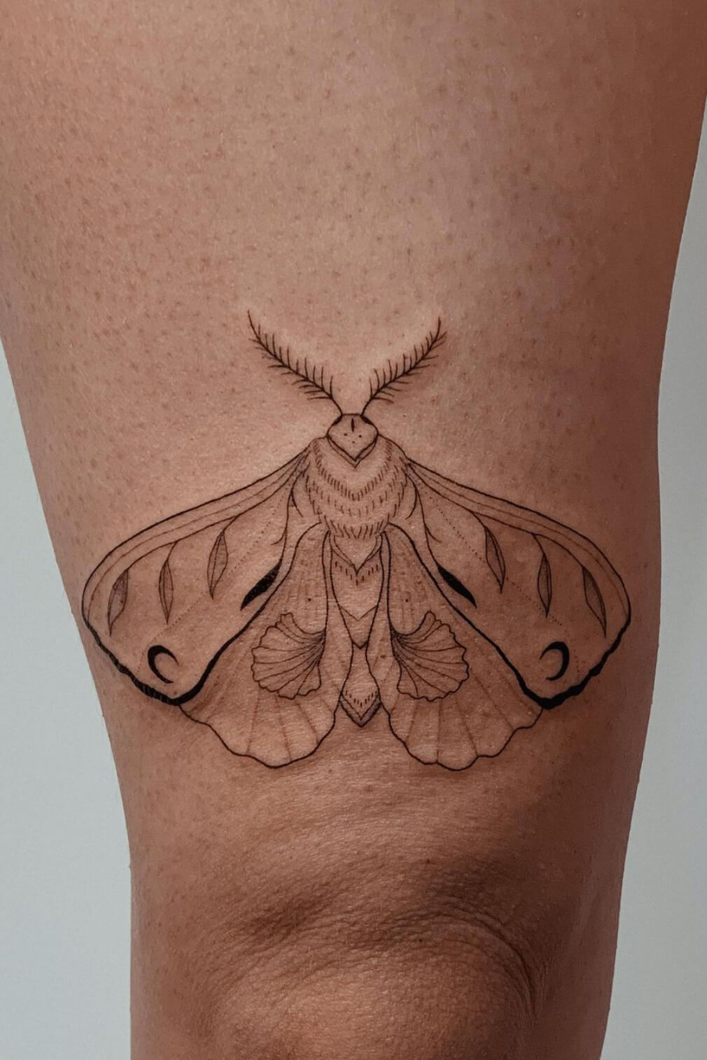 36 Best Moth Tattoo Ideas With Meaning