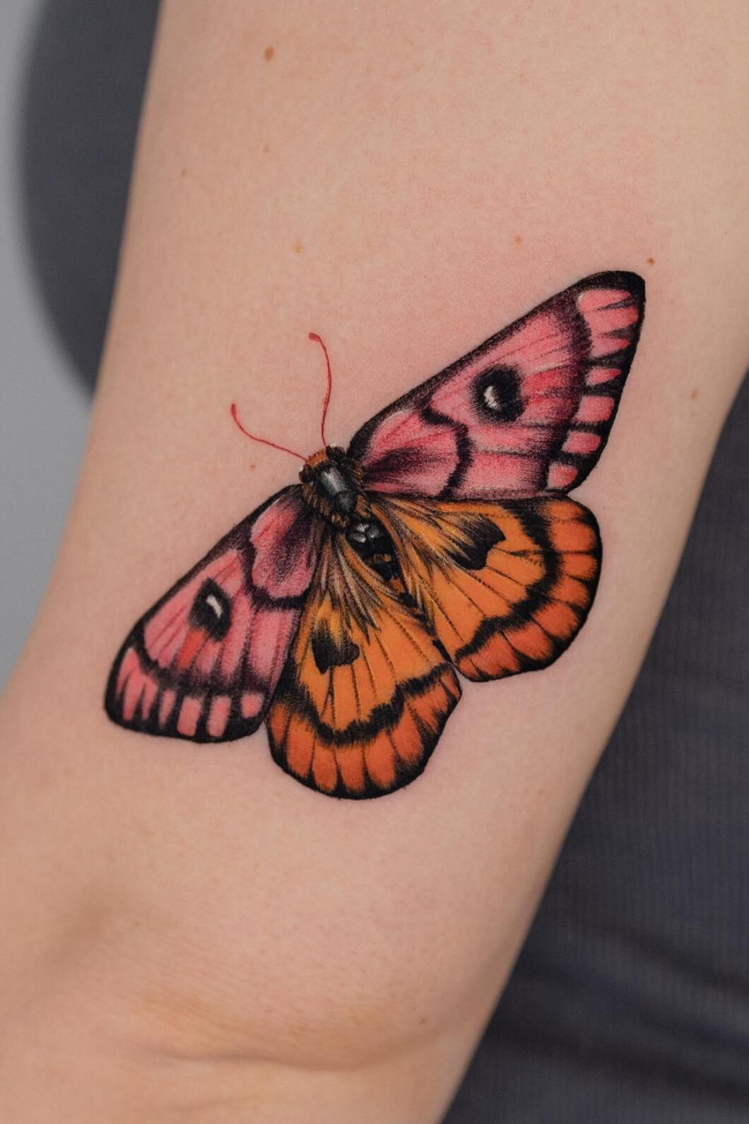 Pink and Orange Moth Tattoo